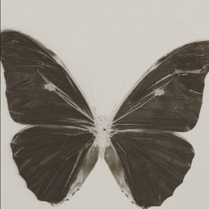 Meet your Posher, Jocelynne